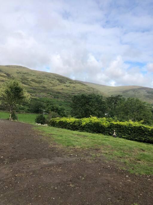 Villa Mountain House Omeath Near Carlingford O Meith Exterior foto